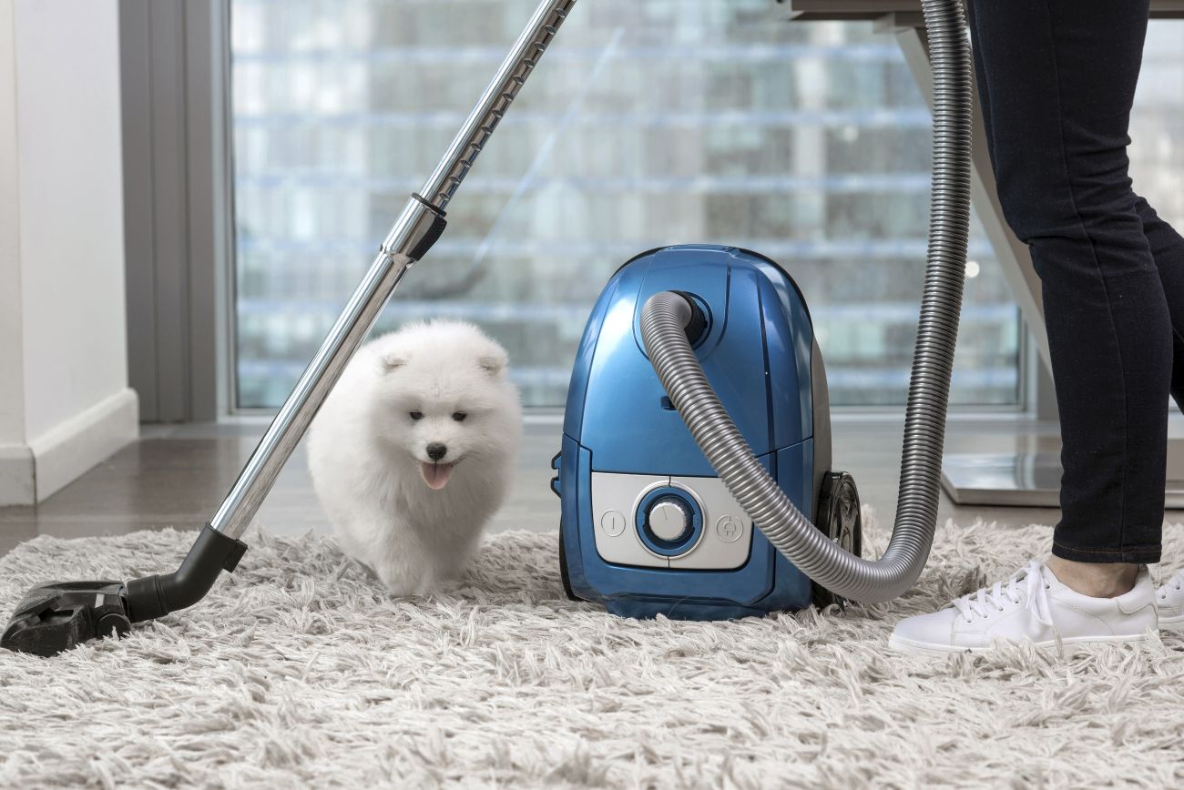 The Best Vacuums on the Market Keep Asking
