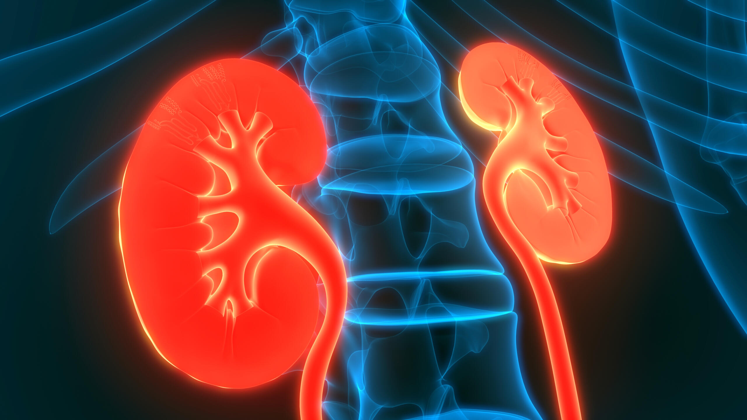 Kidney Lesions Types